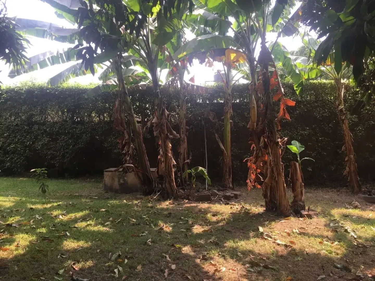 Logess Estates Guesthouse