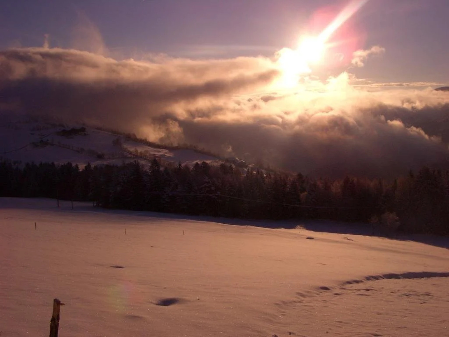 Pension Schifferegger