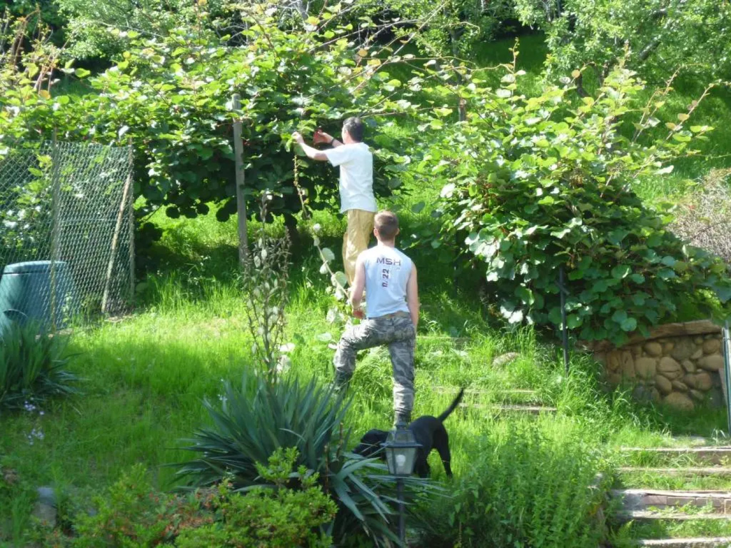 Agriturismo Oro di Berta