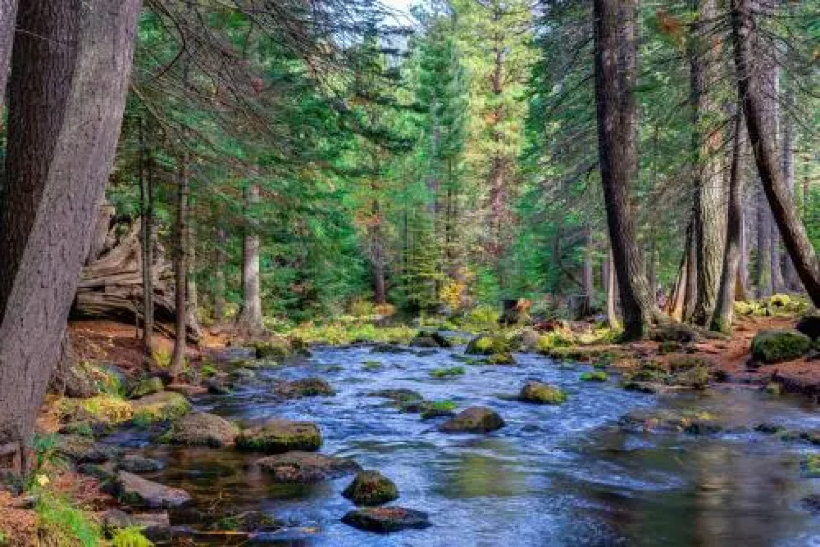 Black Butte Big Meadow's 11th Fairway