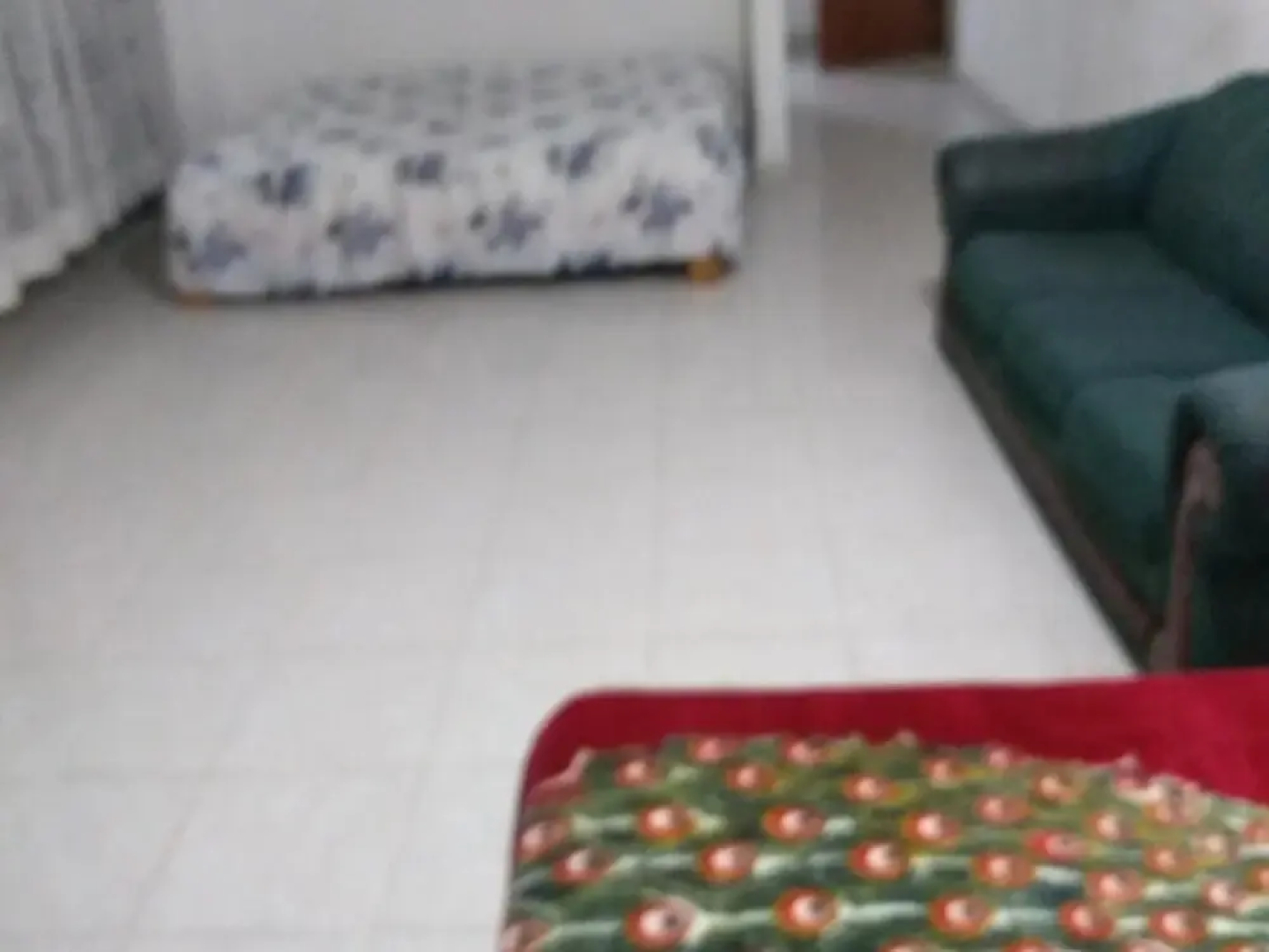 Room-lodging and Camping the Island