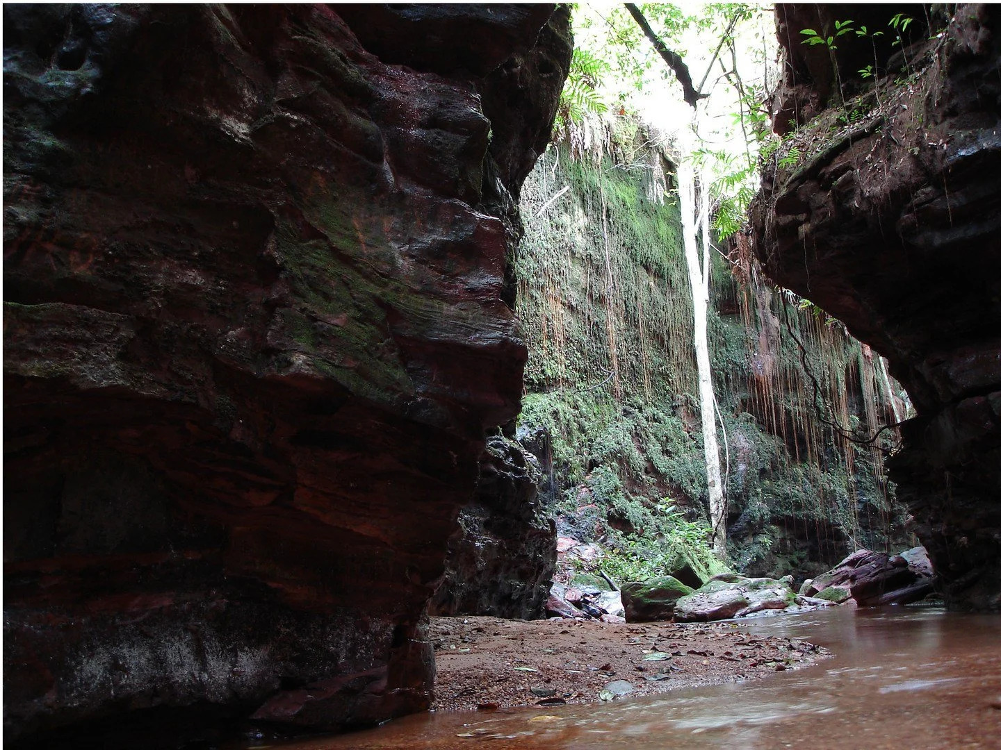 Korubo Safari Camp Jalapao