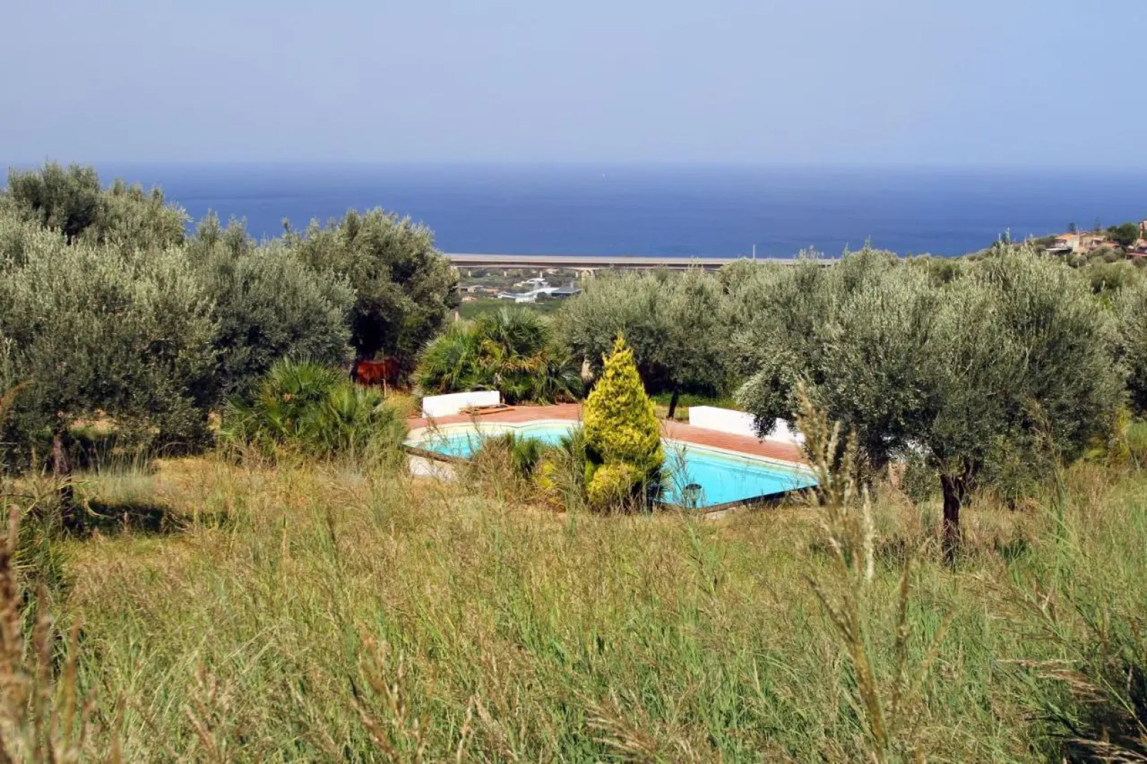 La Gabbianella E Il Gatto