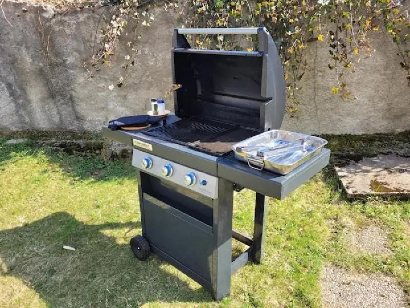 Gite Eglantine 2 a 6 Personnes Avec SPA Et Salle de Jeux Dans la Residence