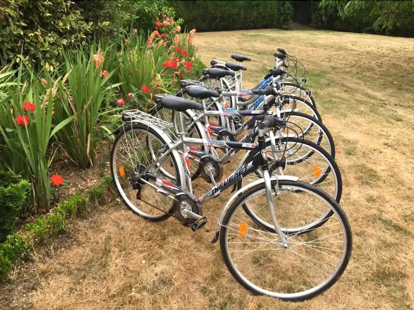 Lyolyl BnB Nature Loisirs