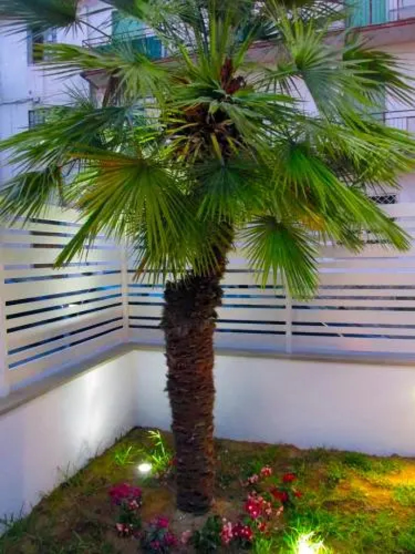 Affitta Camere A Due Passi Dal Mare