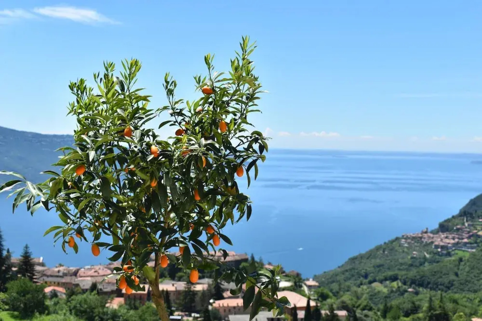 Borgo le Vigne - La Vinaccia