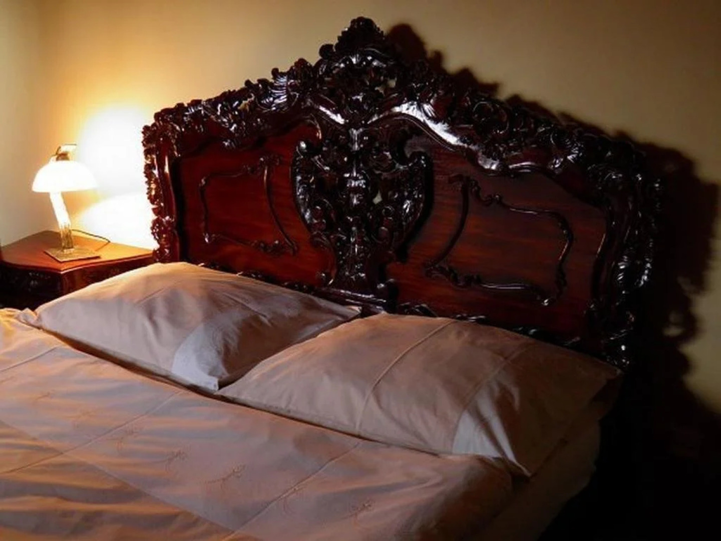 Dvůr Olšiny -Hotel and Horse-riding