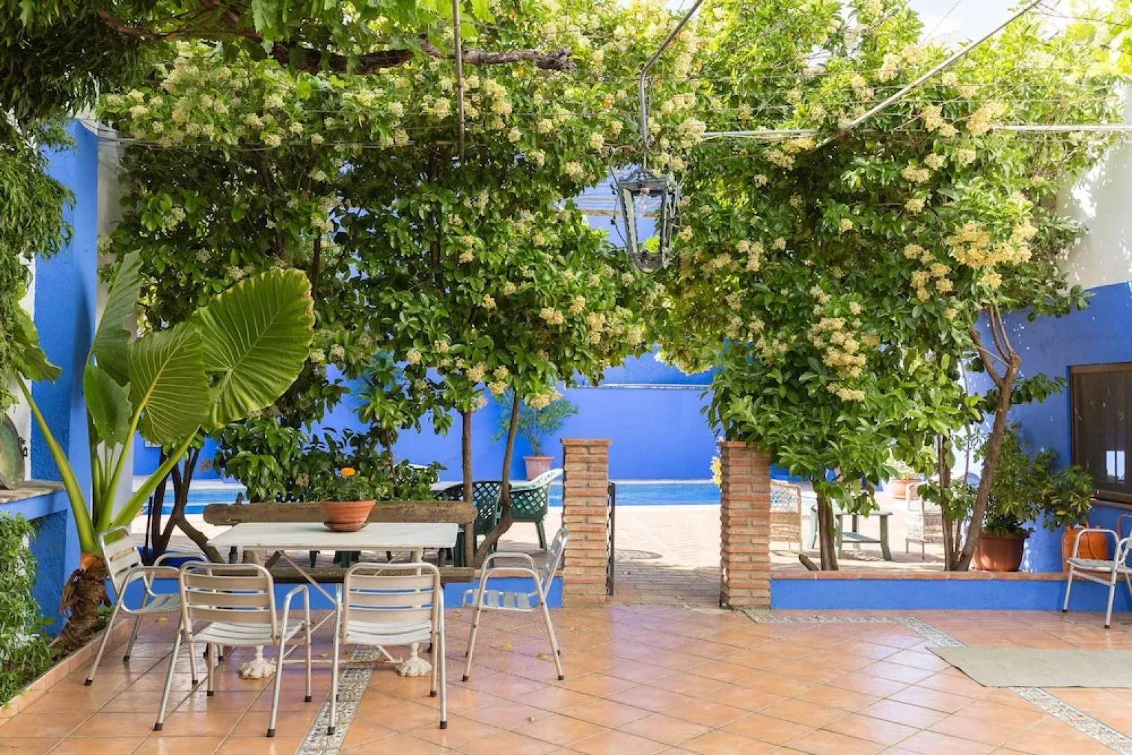 The House of Illora,