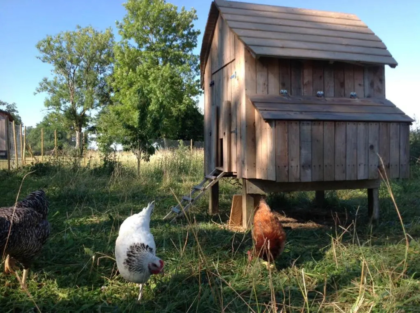 Chambre d'hôtes de Paille et d'Argile
