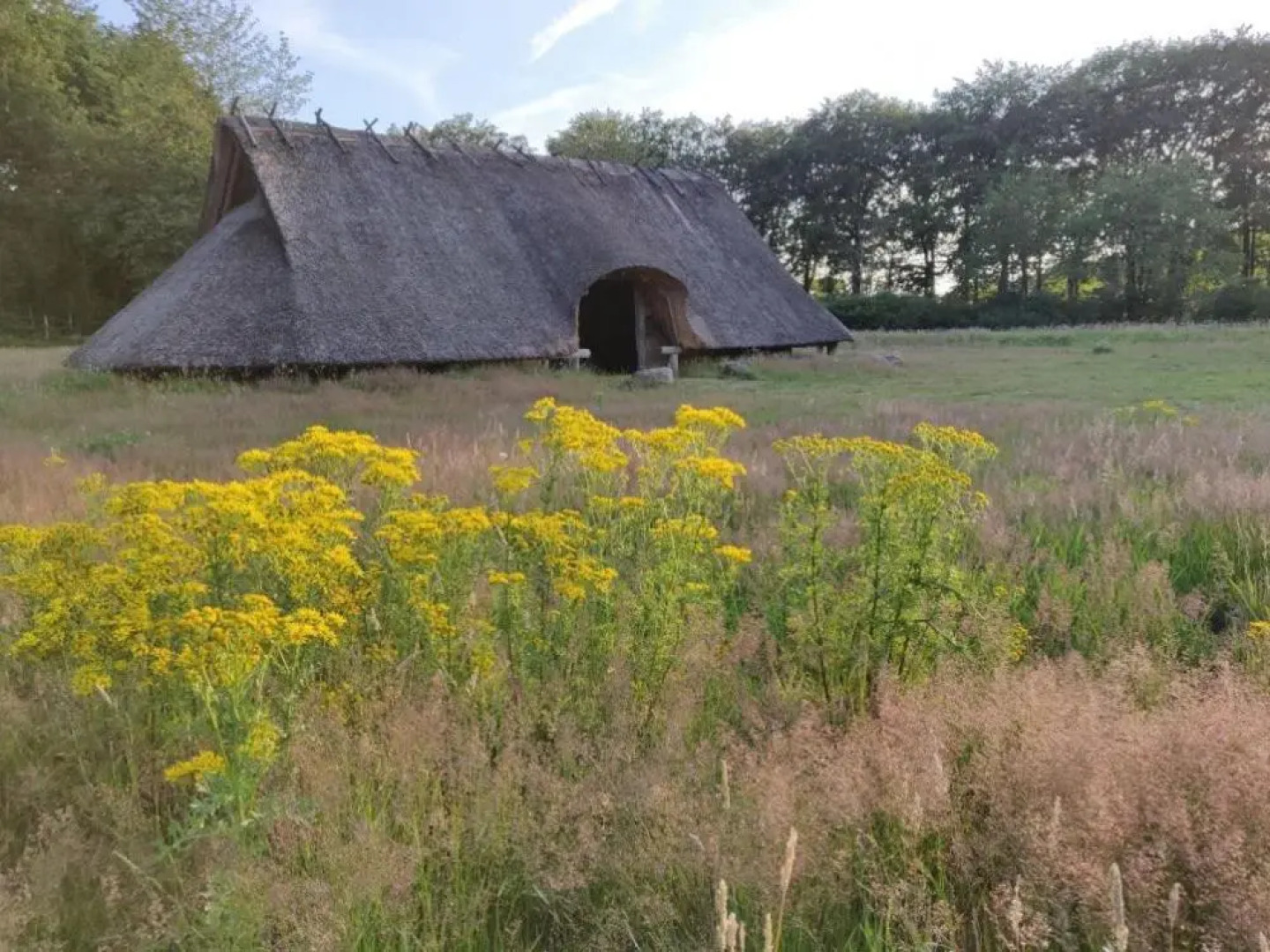 Vakantie op de Veluwe