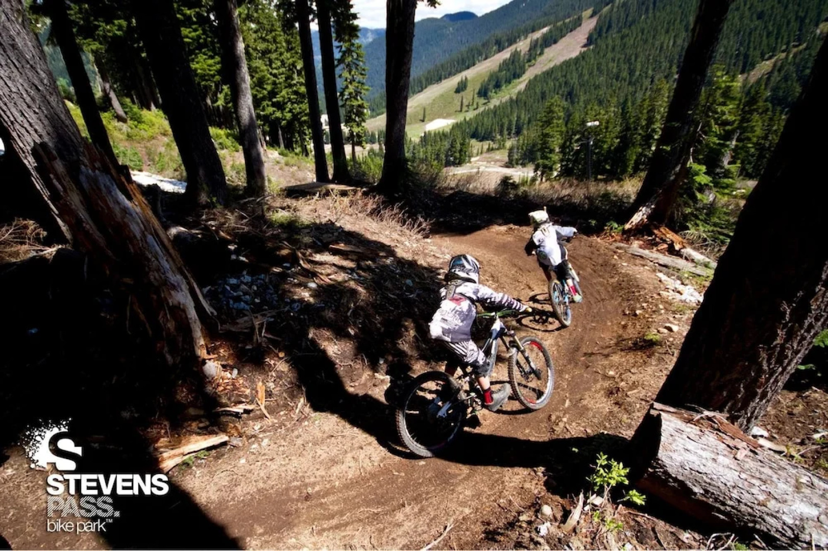 Peaceful Pines Cabin - Three Bedroom Home with Hot Tub