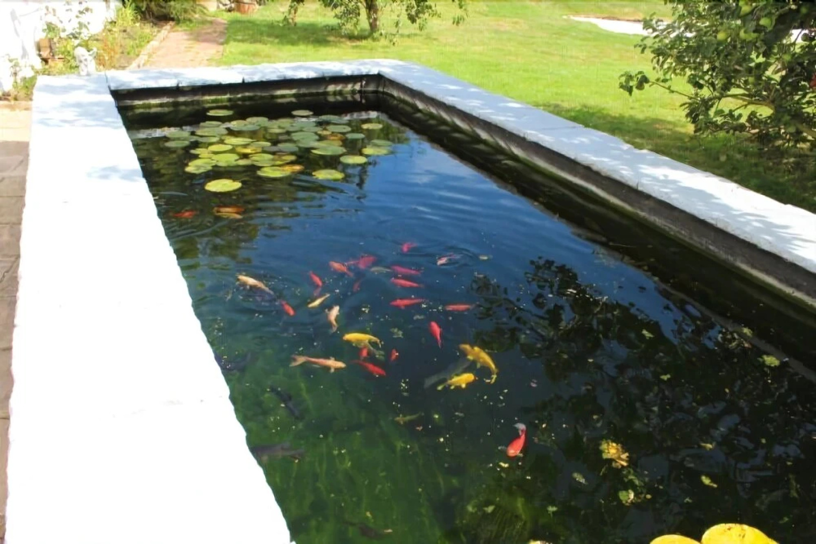 The Beach Sun Retreat