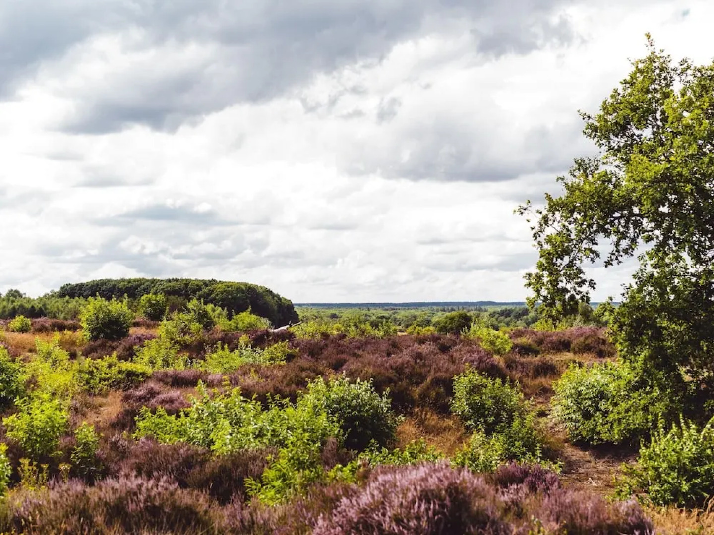 Chalet Near Trails & Town