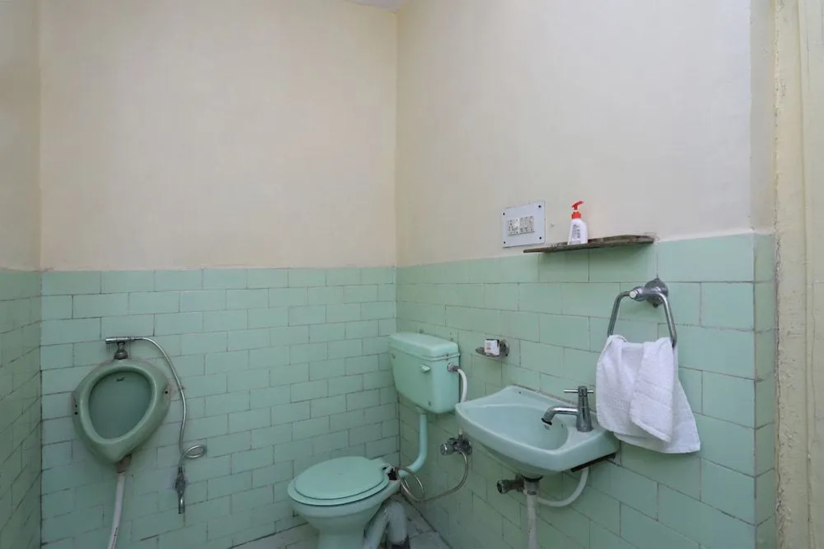 OYO 29068 The Green Petal Resort