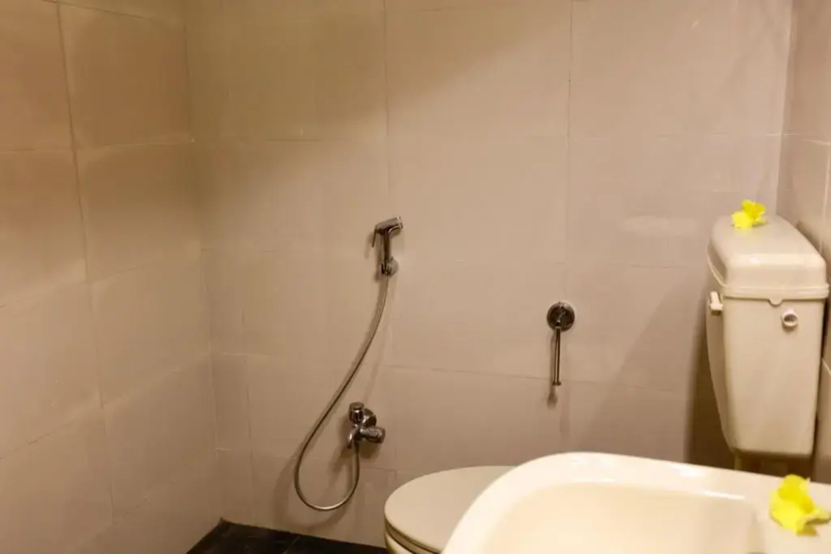 Alice Paradise by Moonrakers