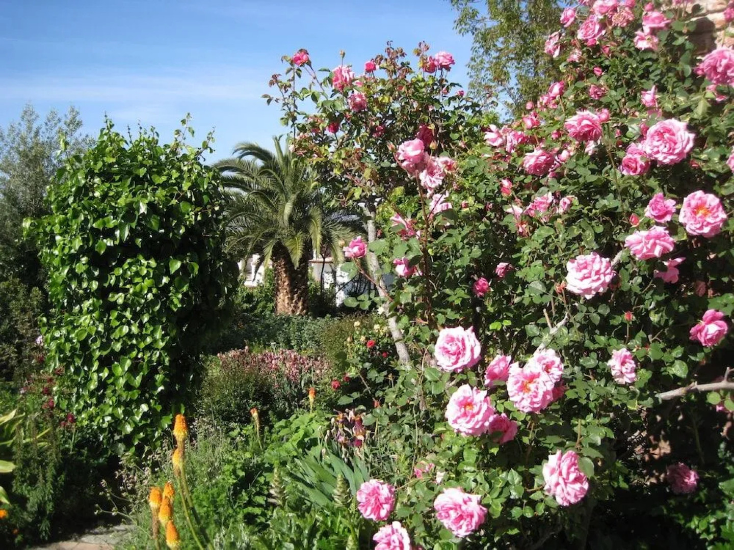 Alojamiento Rural Viña y Rosales