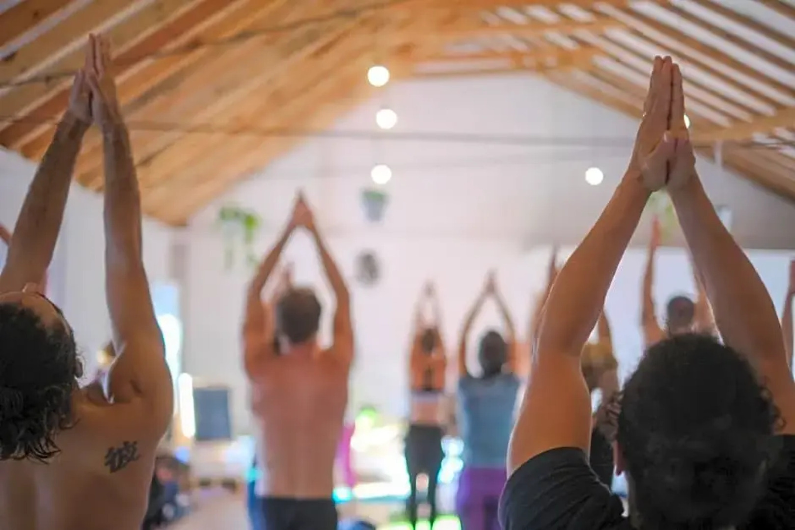 Olive3 Ericeira Hostel