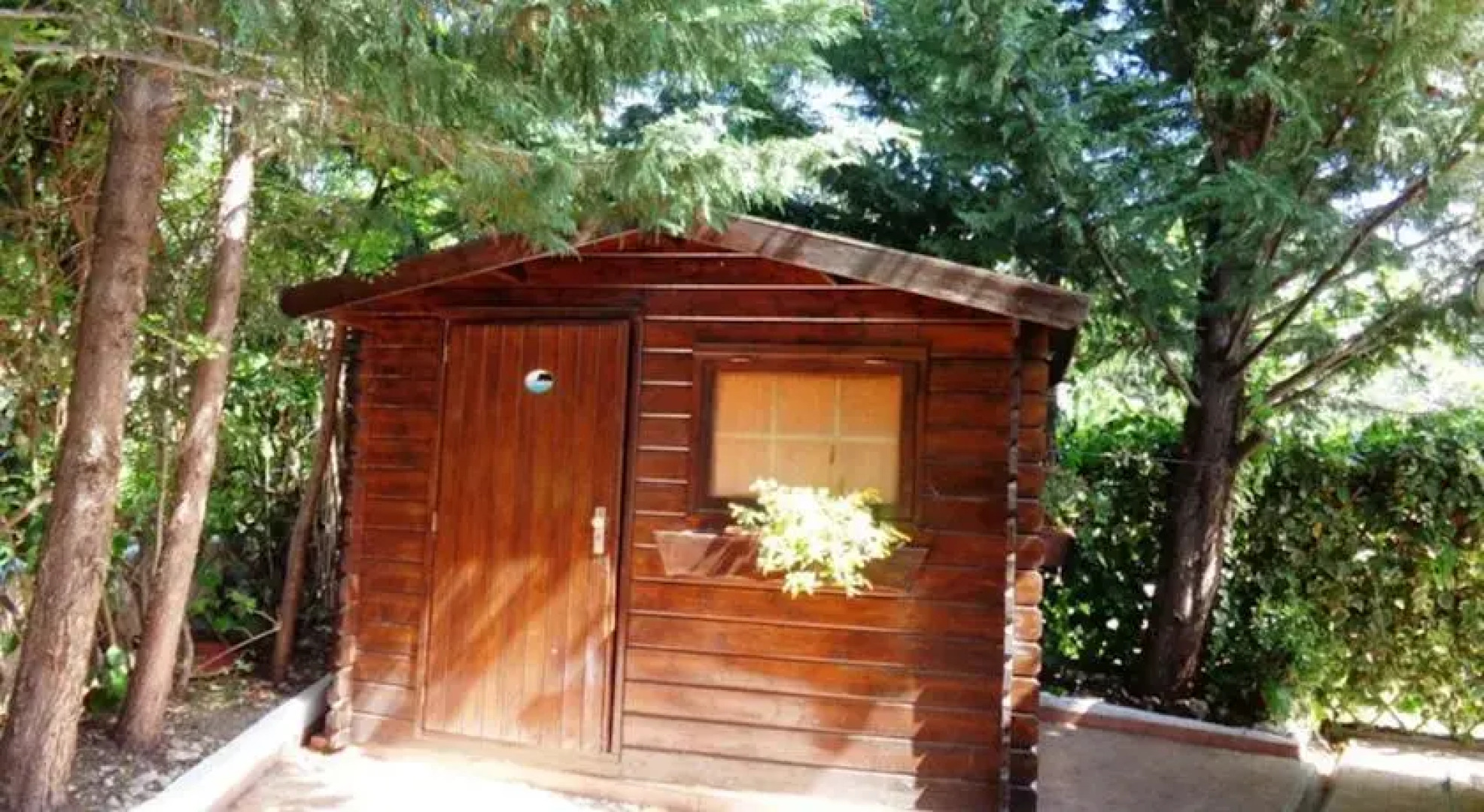 I Girasoli