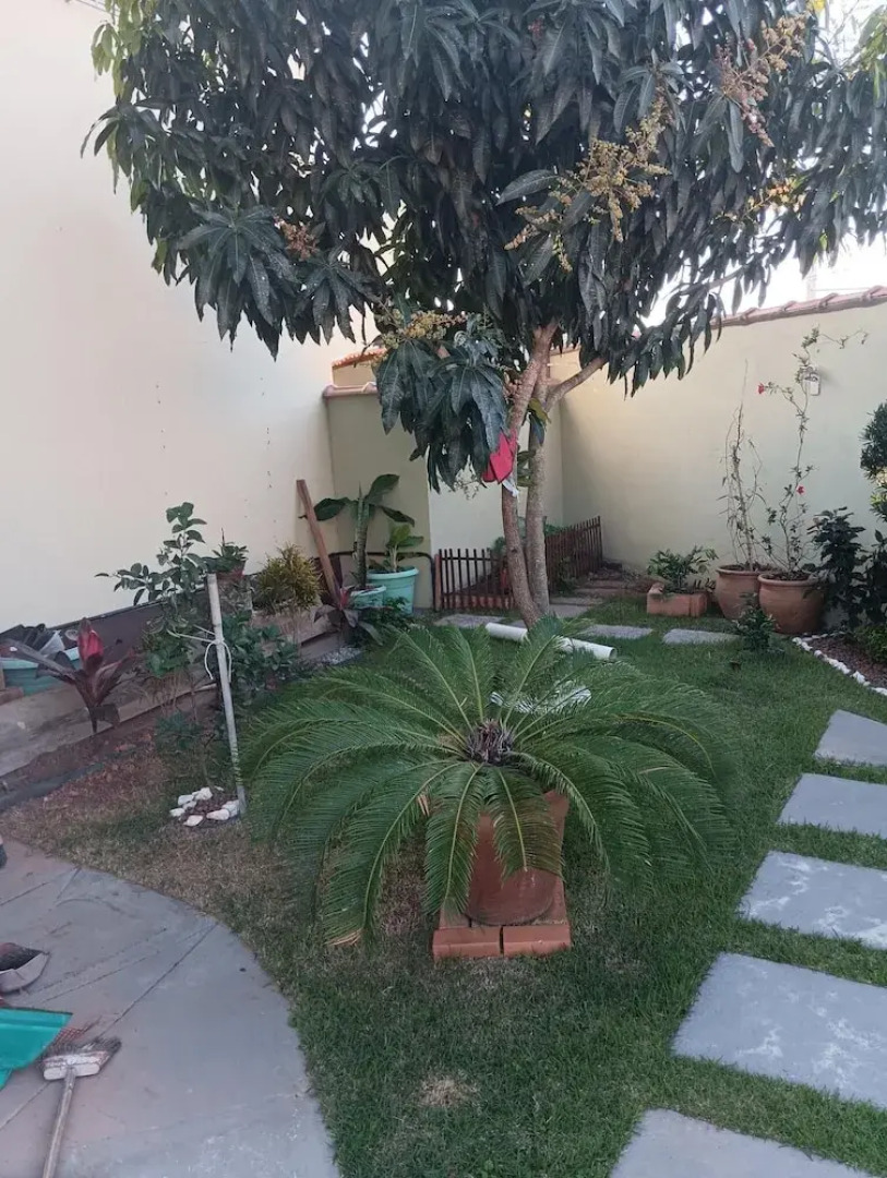 Jardim das Orquídeas 1