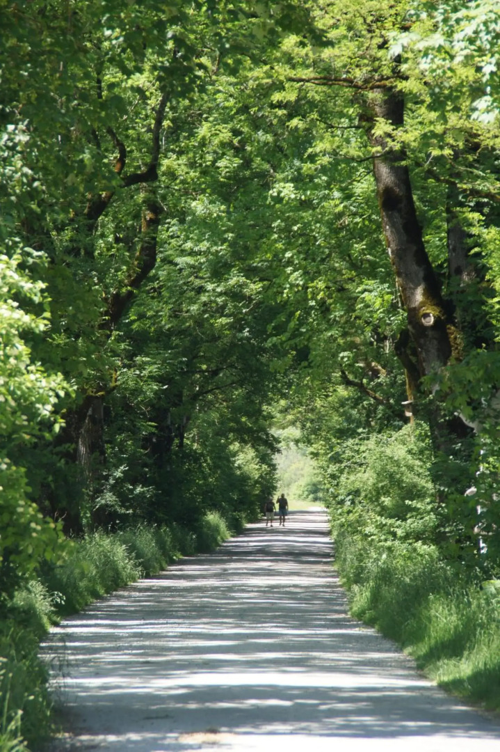 Zentrum für Umwelt und Kultur - Gästehaus und Jugendbildungseinrichtung im Maierhof