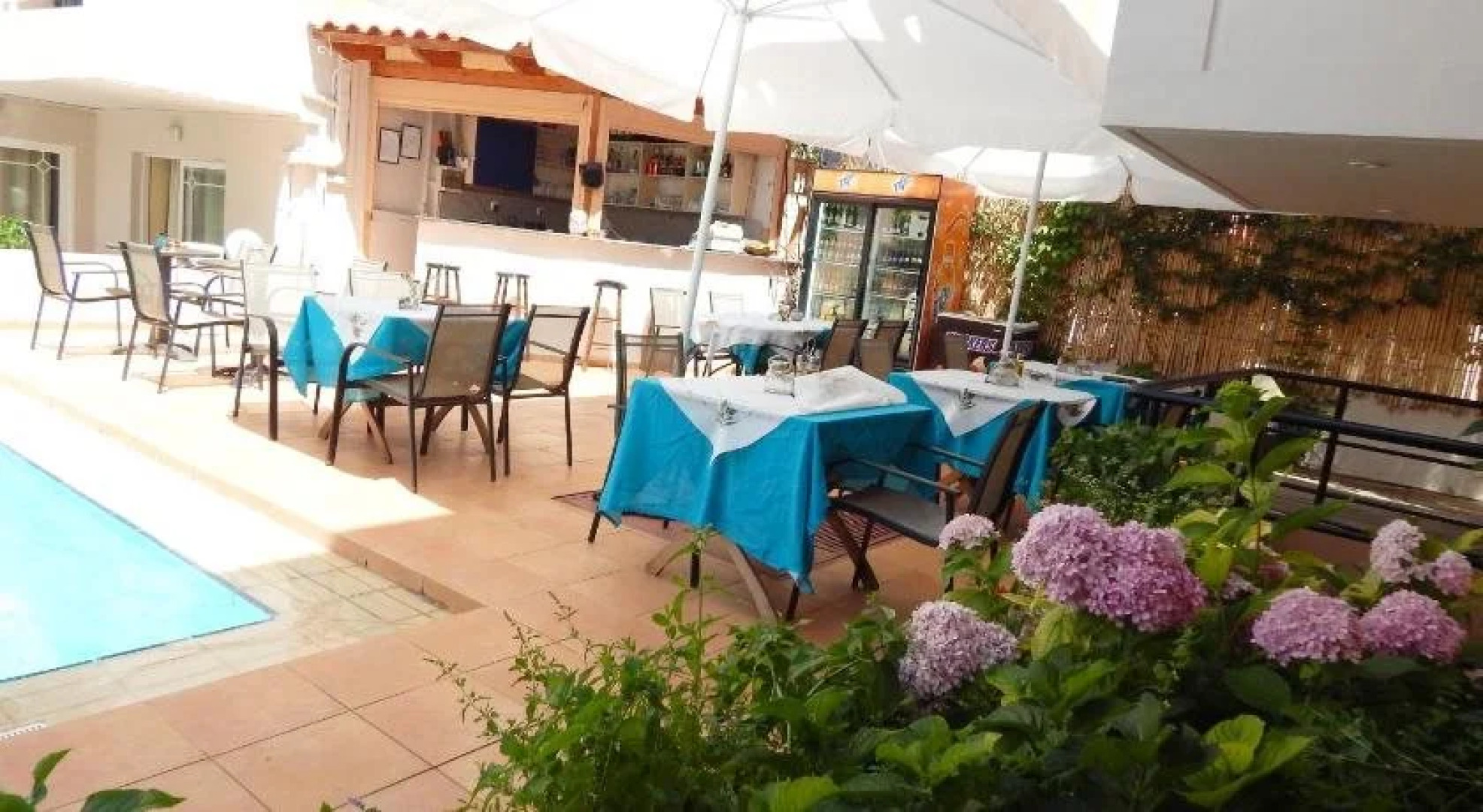 Apollon Studios & Apartments