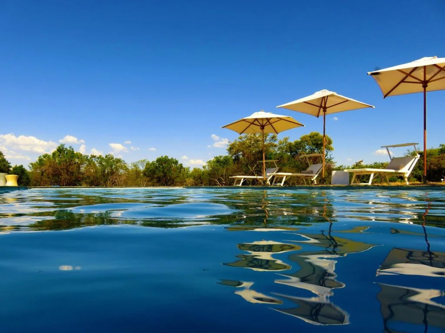 Zebras Crossing Lodge