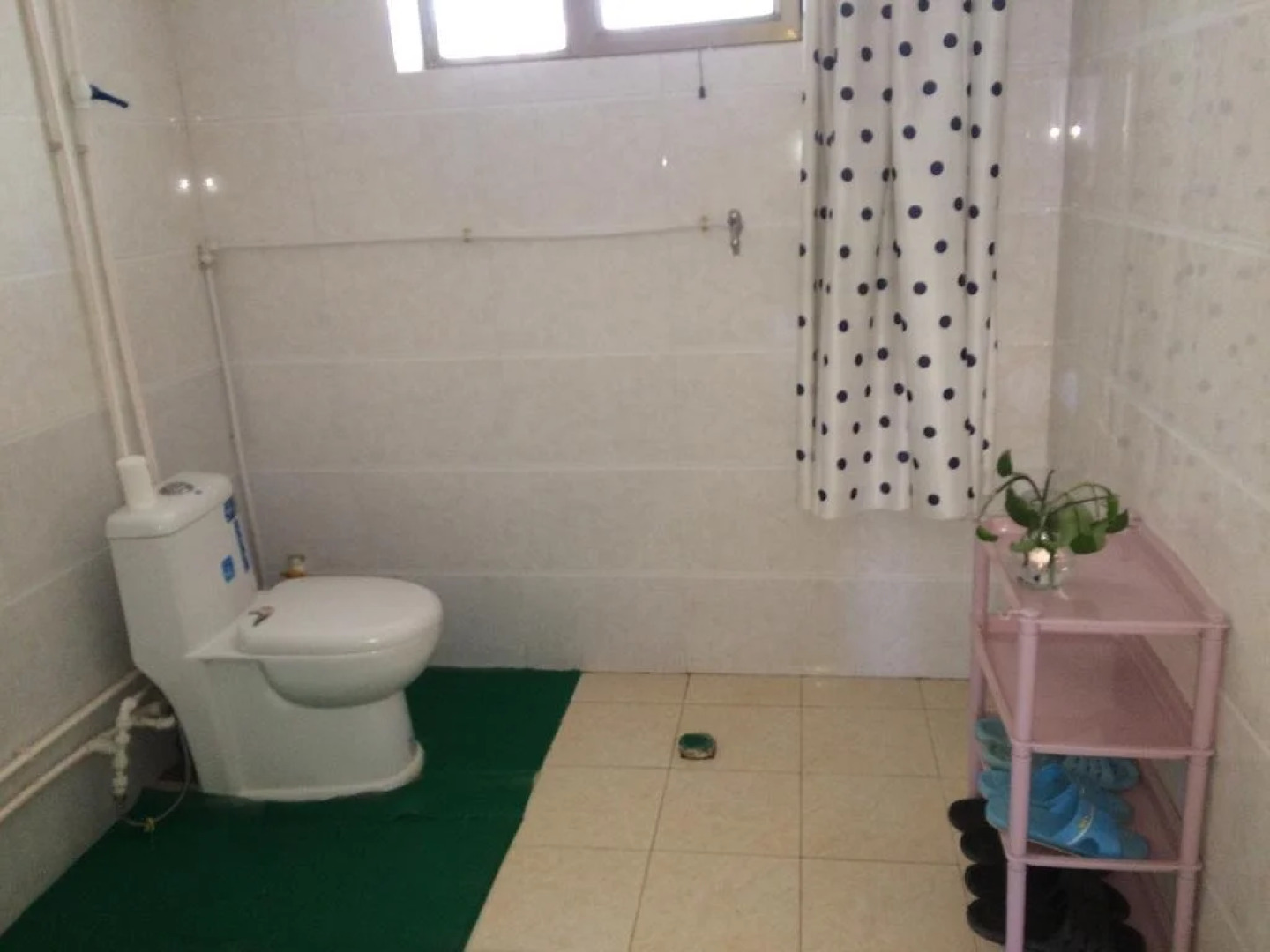 Dunhuang Hu Yang Inn