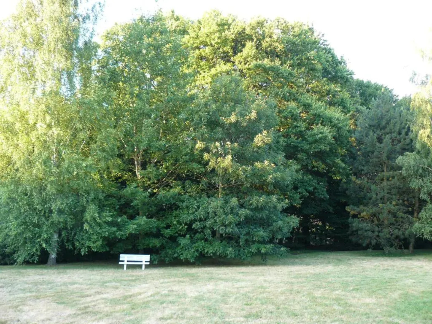 Chambres dHôtes Au Bout du Champ