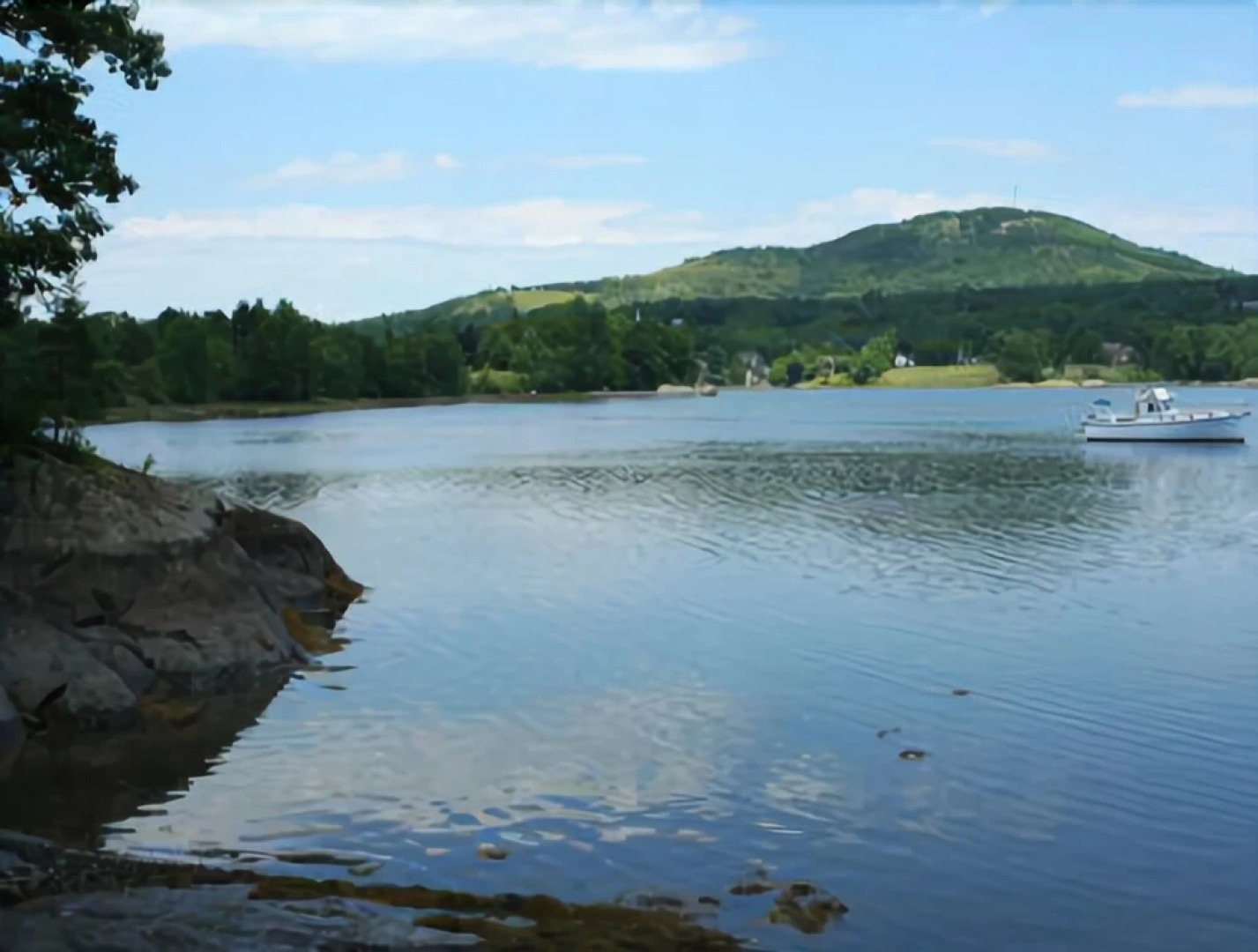 Bungalow - Three Bedroom Cottage