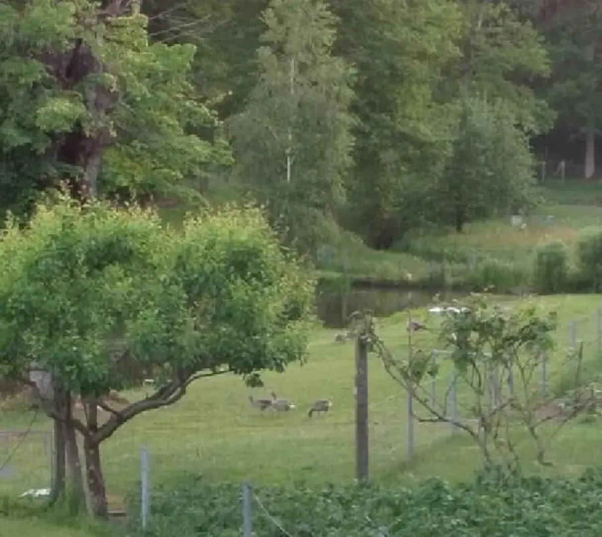 Pension & Gasthaus Kattenstieg