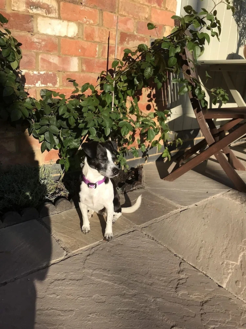 The Rear of the Plough