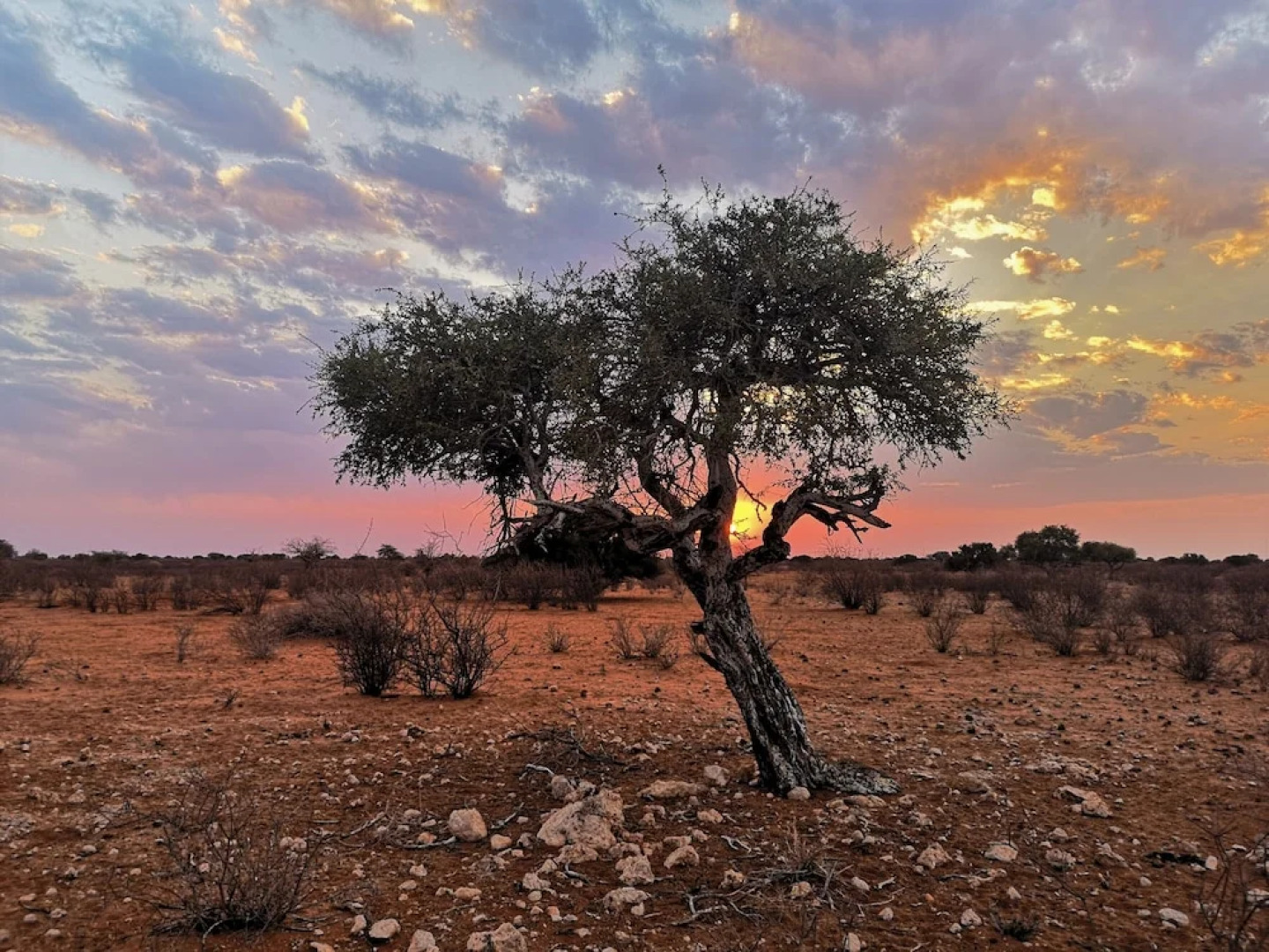 Kalahari Anib Camping2Go