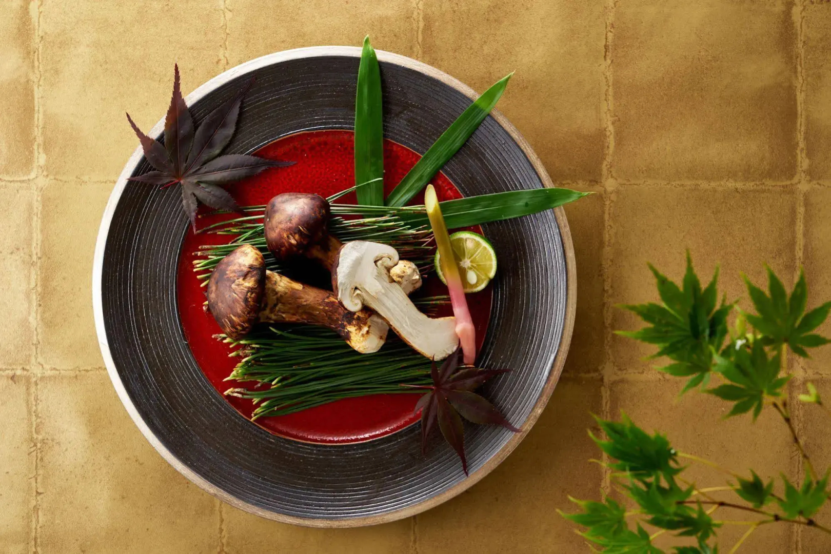 Shiratama no Yu Senkei