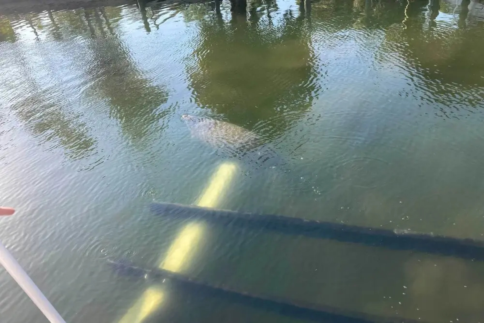 Waterfront Crystal River Home w/ Boat Dock!