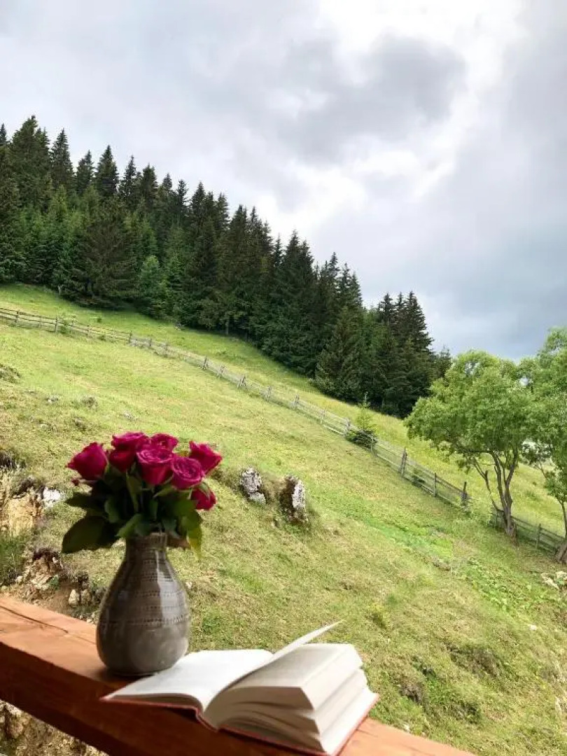 Casa de sub Munte Fundata2