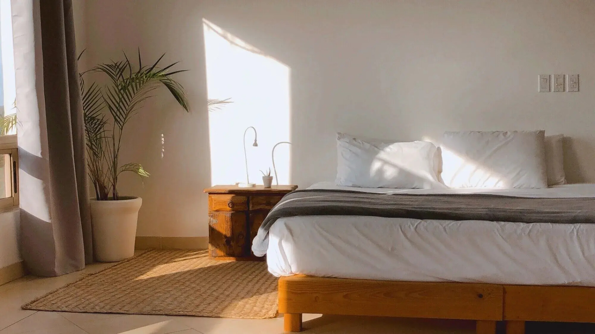 Suite Agaves in Todos Santos