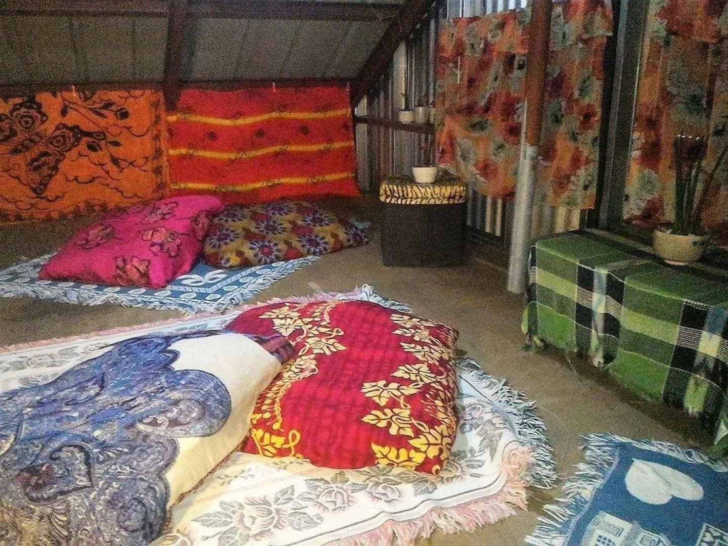 Tribuhaus Backpackers Inn