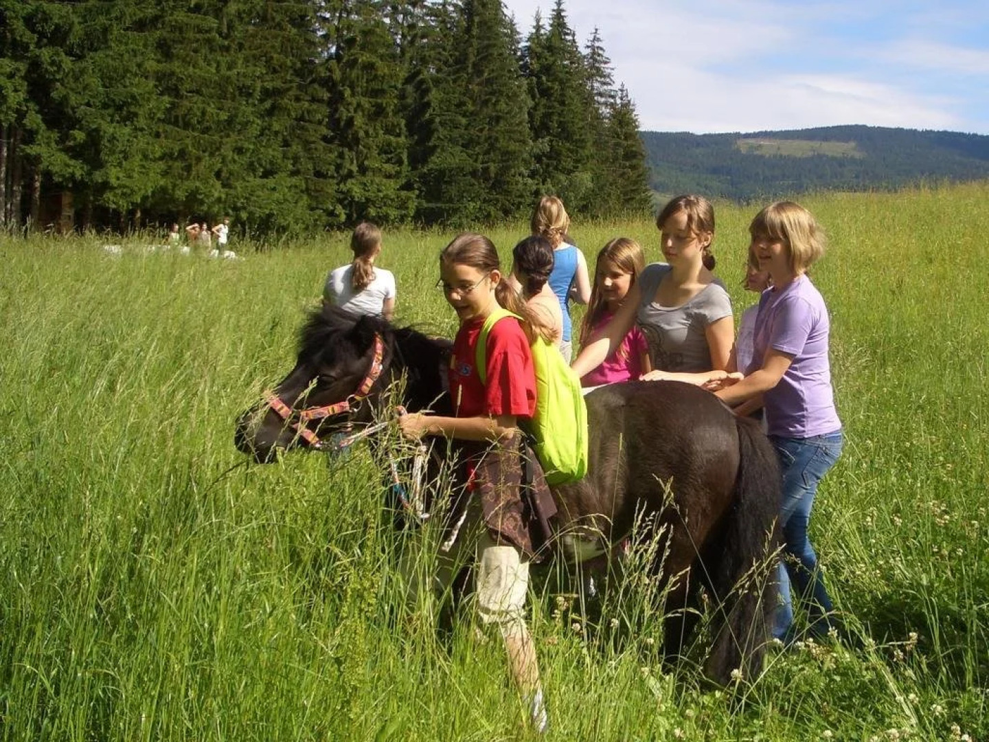 Familienhotel und Reiterparadies Ponyhof