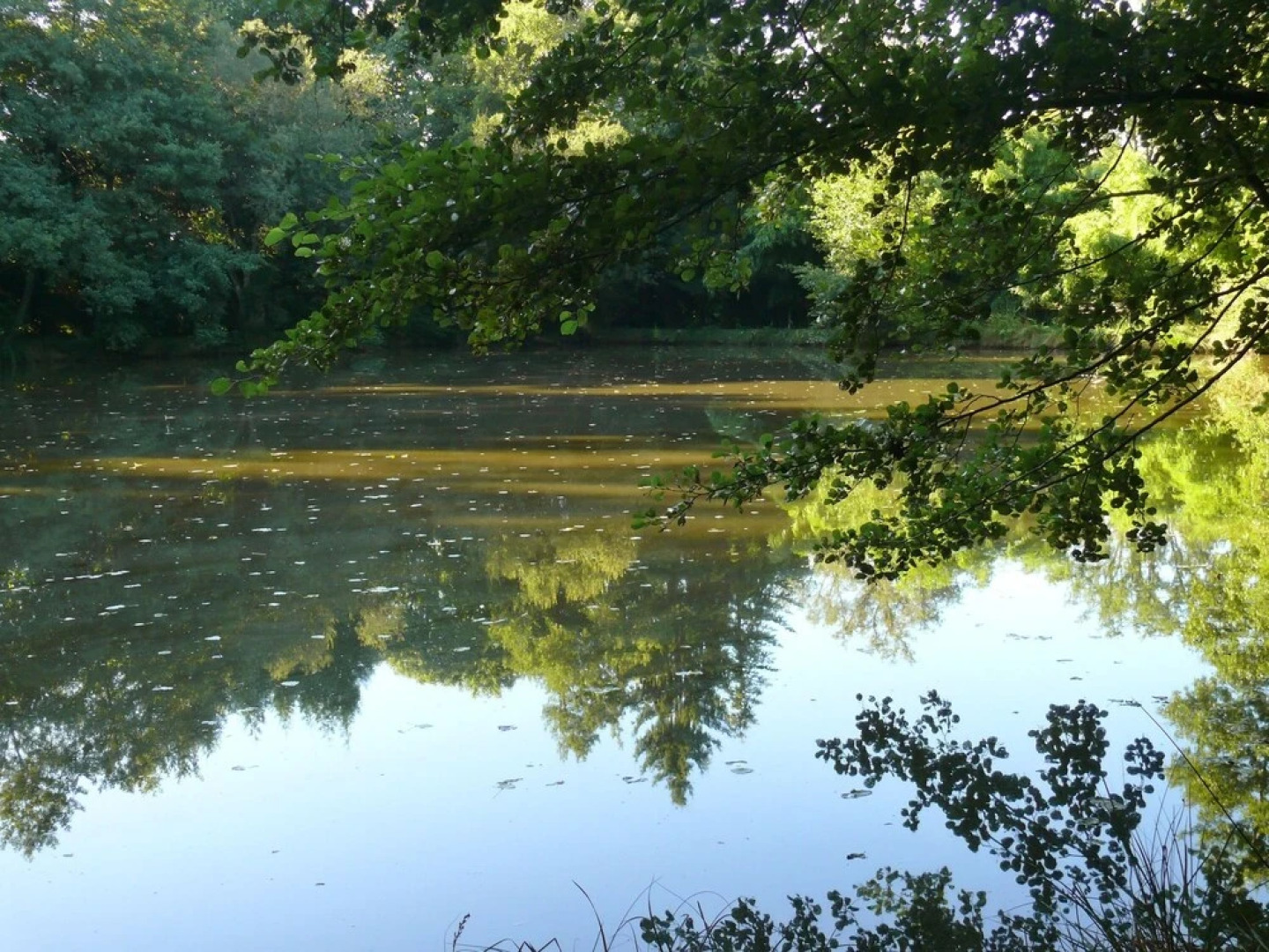 House With 2 Bedrooms in Lourdoueix Saint-pierre, With Wonderful Lake