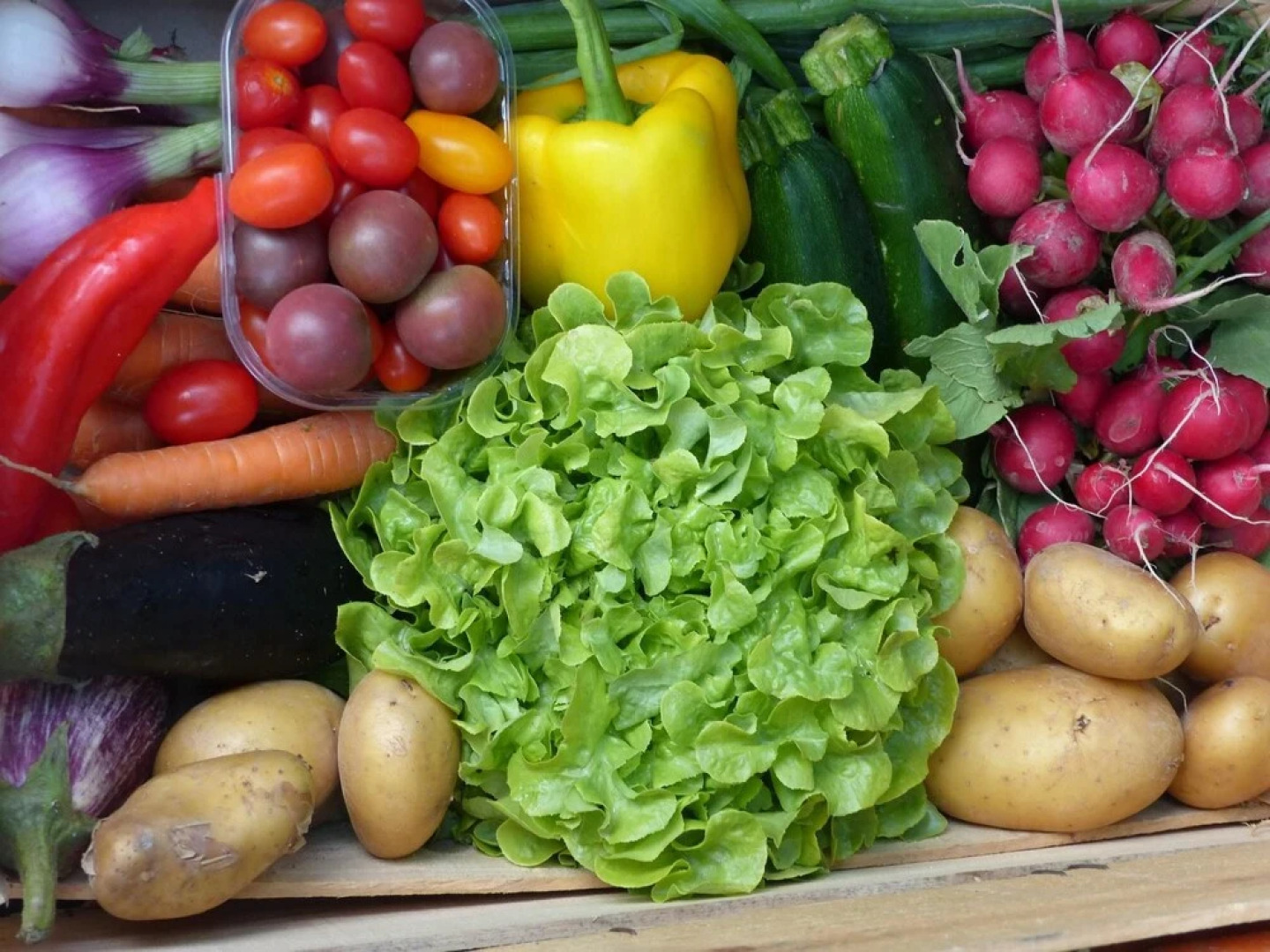 Bungalow With one Bedroom in Elne, With Wonderful Mountain View and Te