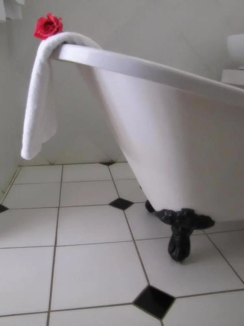 Sandstone Chameleon Guesthouse Fouriesburg