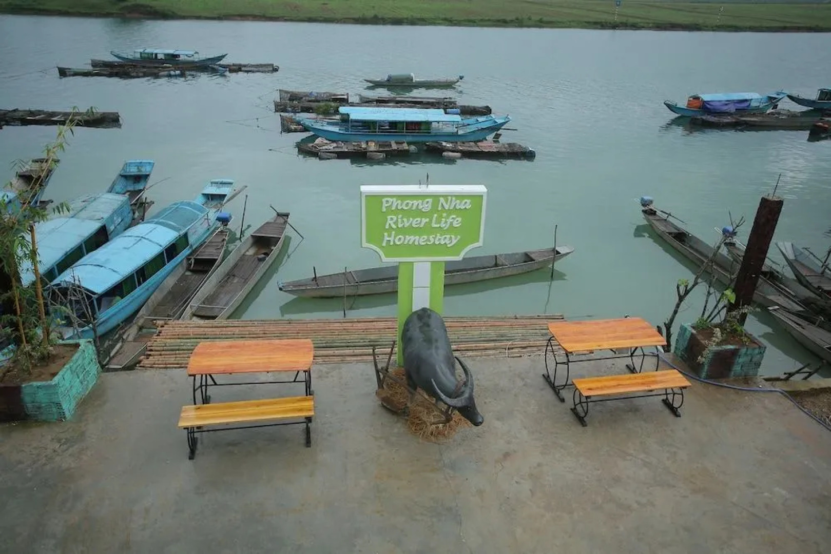 Phong Nha Riverlife Homestay - Hostel