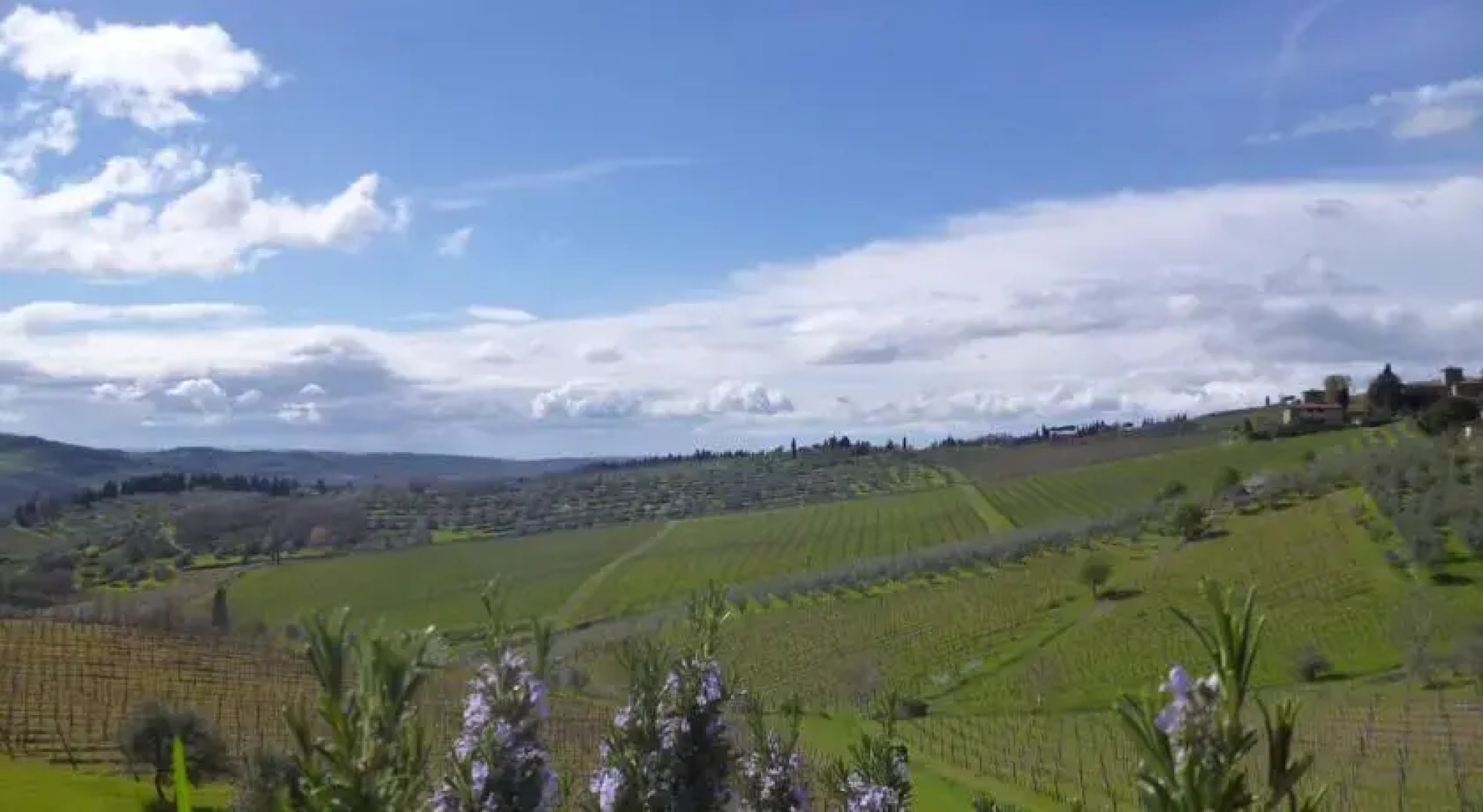 Immersi nella campagna Toscana