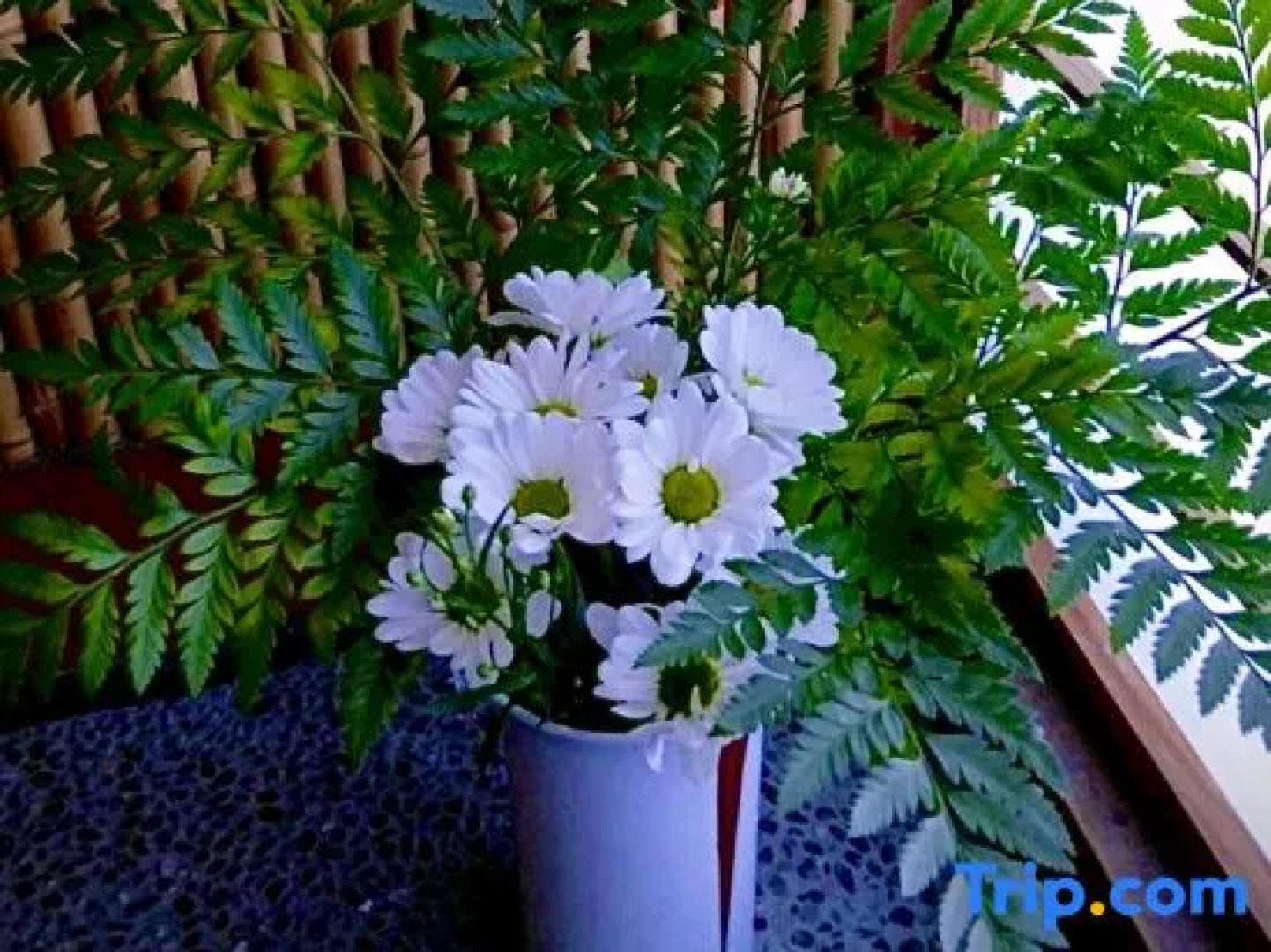 Yamaumi Onsen Shyuku Kaifuu