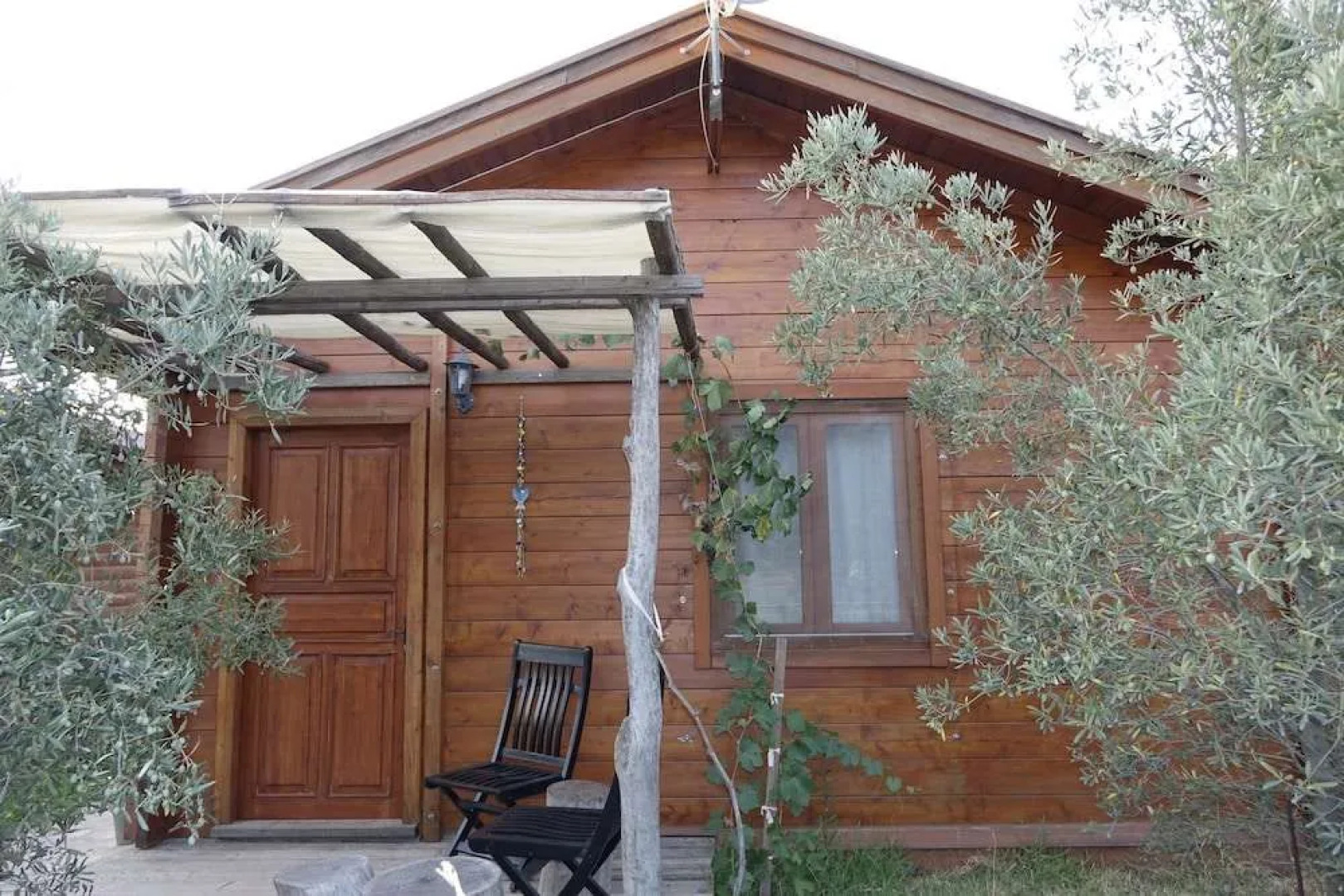 Sakin Vadi Winehouse