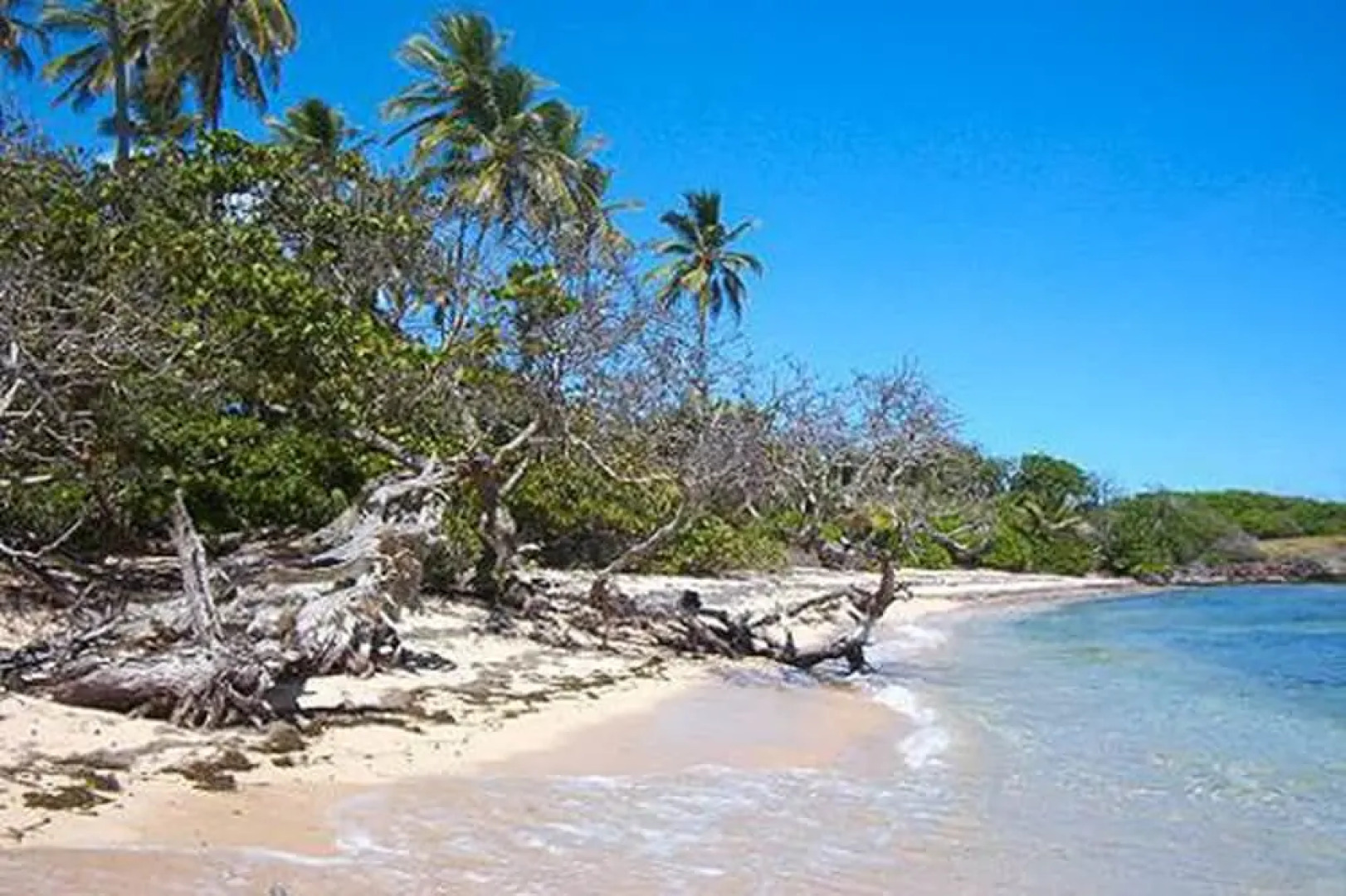Le Paradis de l'Anse