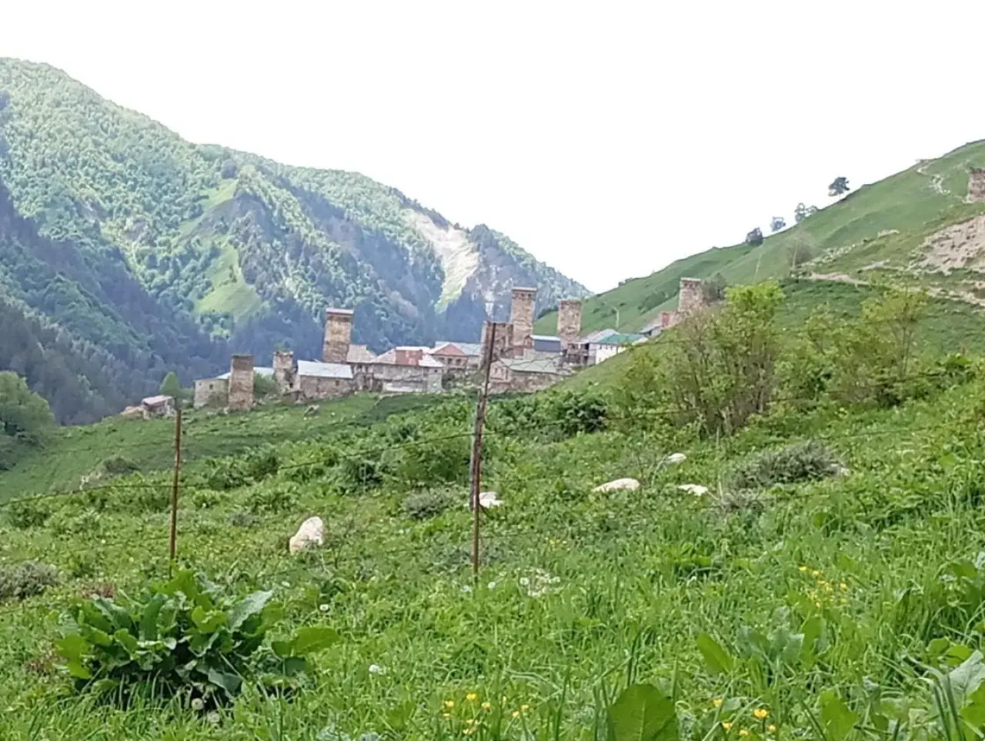 Elizabeth's Guest House