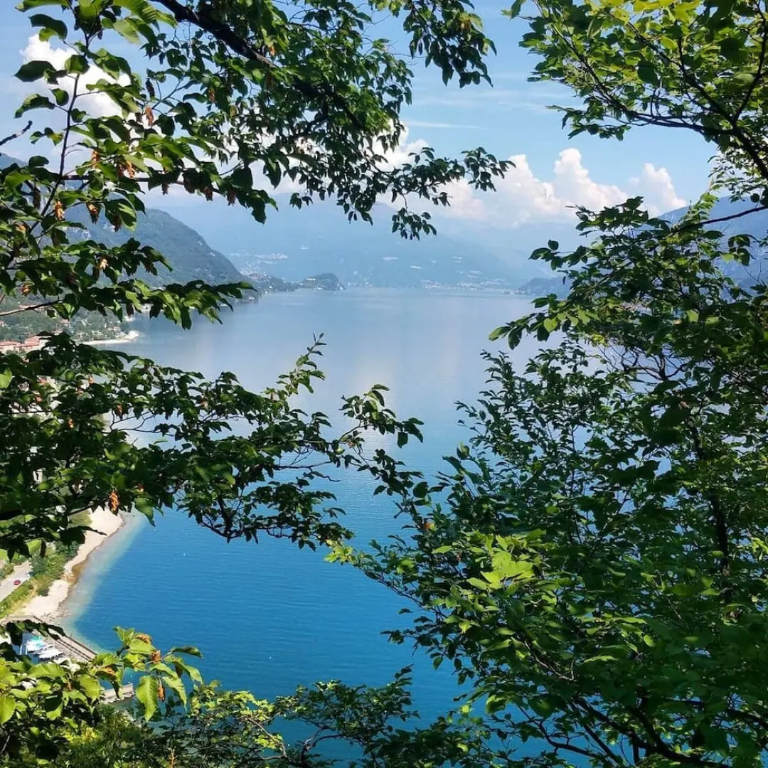 Narciso B&B Valbrona