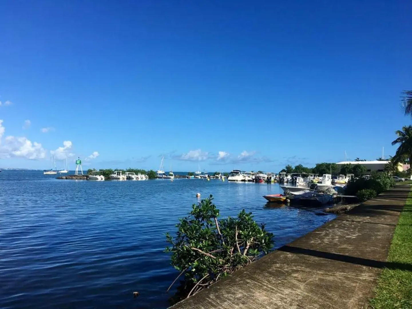 Villa de 3 chambres avec vue sur la mer piscine privee et jardin clos a Goyave a 2 km de la plage